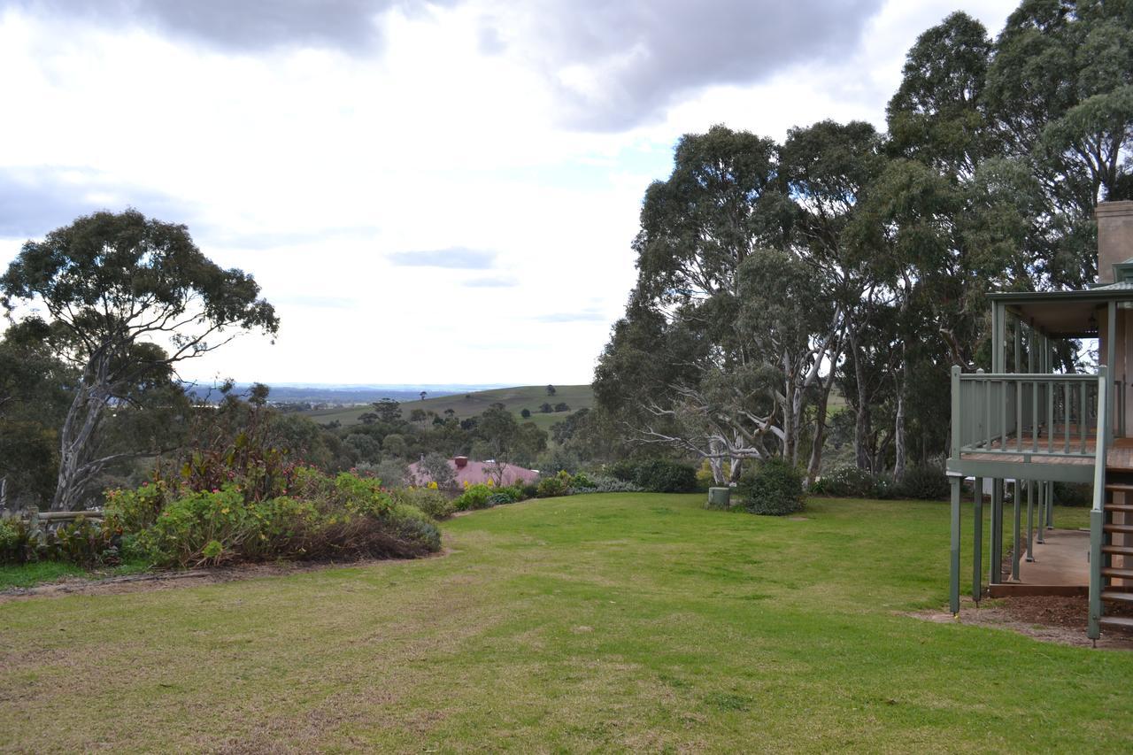Angaston Saleyards Luxury Accommodation Exteriör bild