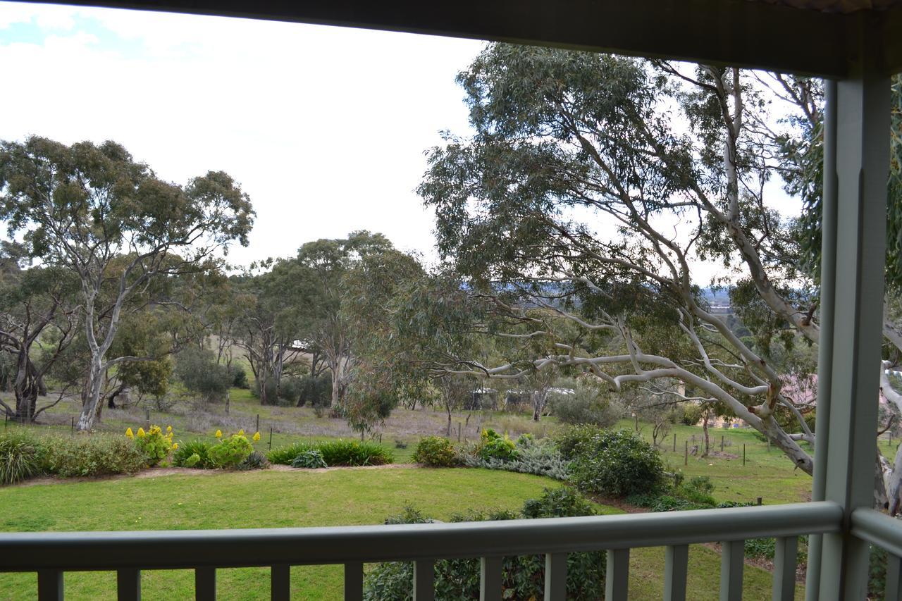 Angaston Saleyards Luxury Accommodation Exteriör bild
