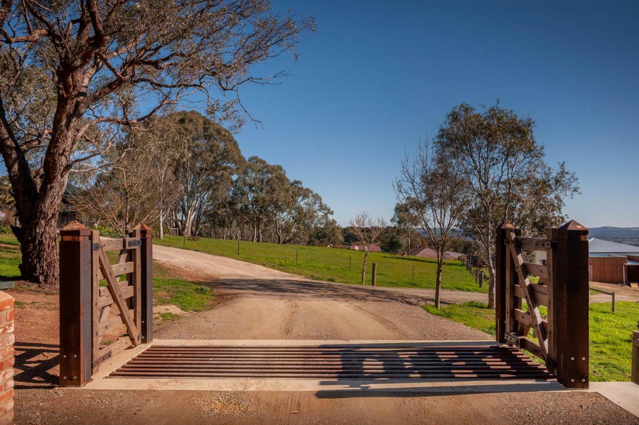 Angaston Saleyards Luxury Accommodation Exteriör bild